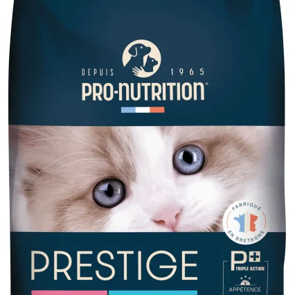Prestige Kitten