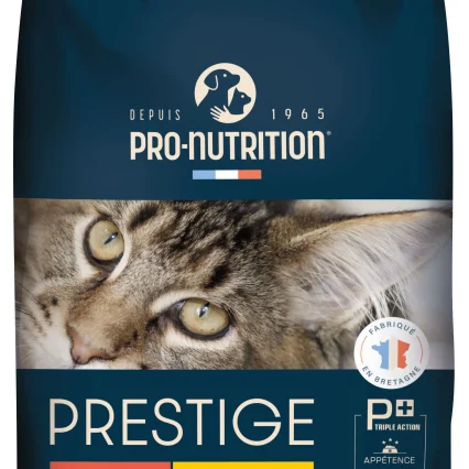 Prestige Adult Large Breed