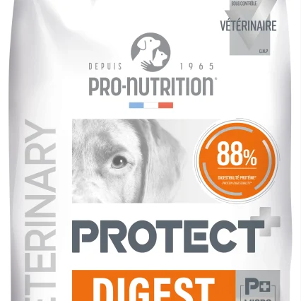 Protect Dog Digest