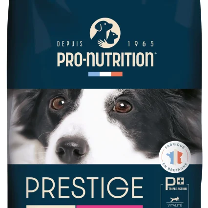 Prestige Adult All Sizes | Exigent