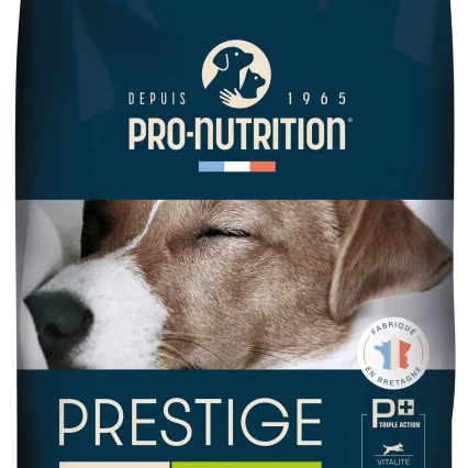 Prestige Adult Mini