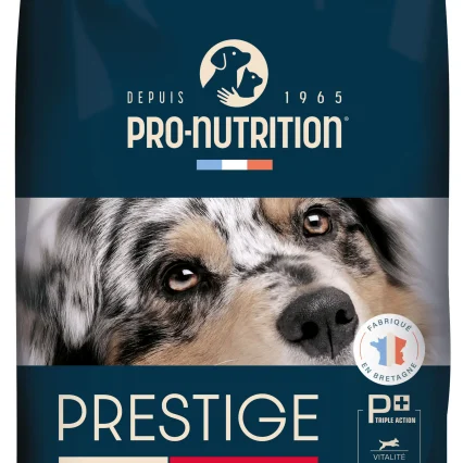 Prestige Adult Medium