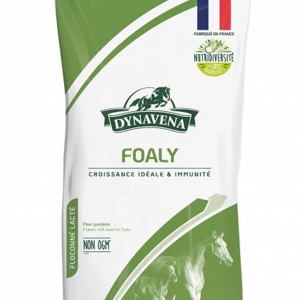 Foaly