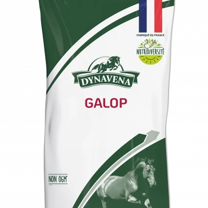Galop