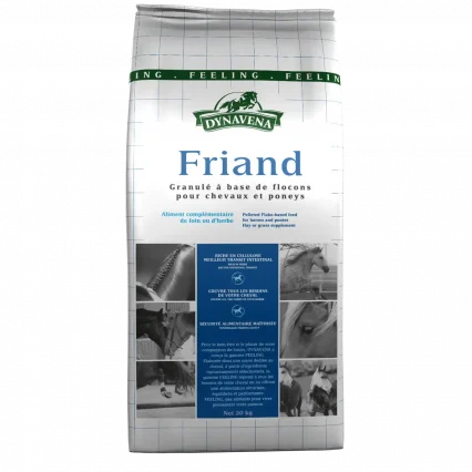 Friand